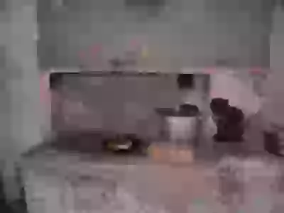   Живность