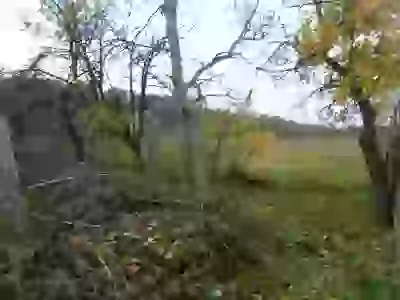   соседи
