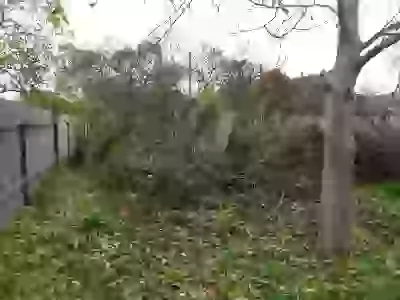   соседи