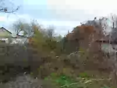   соседи