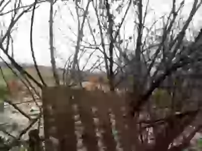   соседи