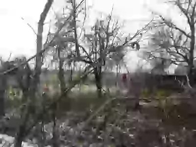   соседи