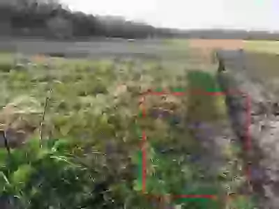   соседи