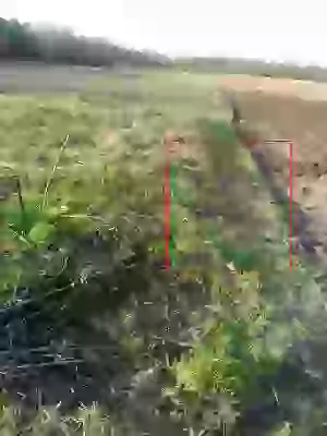   соседи