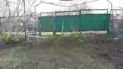   Весна 2023