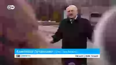  Новый альбомчик, чтобы не лепить всё к старым картинкам Смешное и не очень