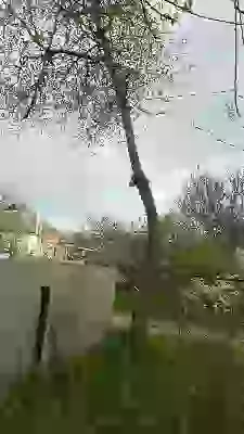   соседи