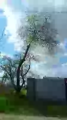   соседи