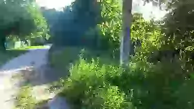  альбом я викоритсовую для картинок які публікую в коментах і постах картинки для постов