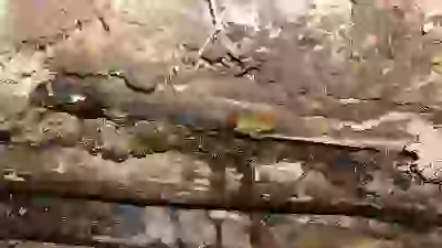  Печальный результат ремонта Я не хотел ремонта, но бл Это делал не я