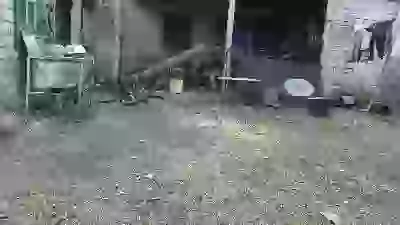  Каждый год одно и то же 2024