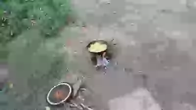   хулинарные толанты
