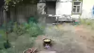   хулинарные толанты