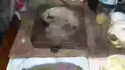 пришла мзда моим хулинарным толантам поломалась плитка печаль беда но на это раз я сам ее отремонтю если оно вопче к ибеням не сорело бл я и запчасти на велик щас покупаю и эта хрень приключилась  хулинарные толанты