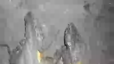   обувка одёвка