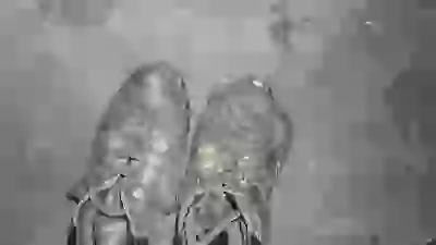   обувка одёвка