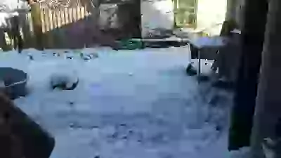  Новый альбомчик, чтобы не лепить всё к старым картинкам Смешное и не очень