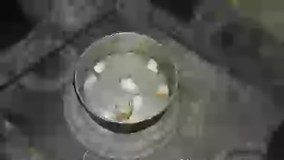   хулинарные толанты
