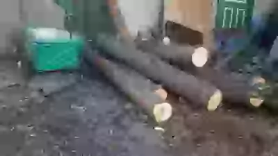 У нас скоро опять зима Прям с ночи похоладание снег и дождь дрова пилка коляска мерседес зима холод тепло печь печка огонь зима 2025-2026