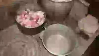   хулинарные толанты