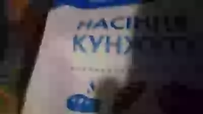 кунжут приправа семена кунжута  хулинарные толанты