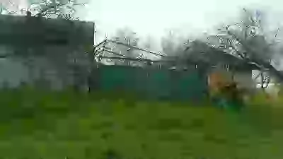 хоть цветы цветут, но погода не весенняя Притащил, шас буду пилить, вечером будет тепло  Весна 2026