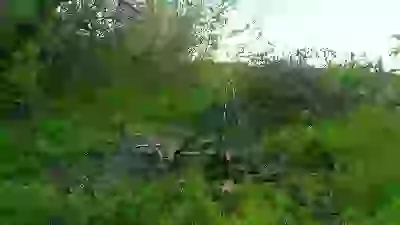 у самого возле огорода есть дрова, а я в лес хожу Во время отпуска будет чем заняться А, ну так я уже занимаюсь  Весна 2026