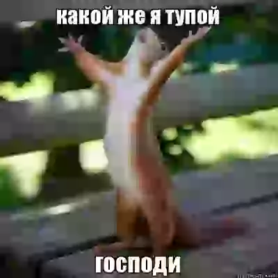  Новый альбомчик, чтобы не лепить всё к старым картинкам Смешное и не очень