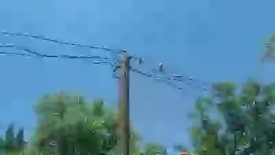  Їздив туди сюди 2019-07-09